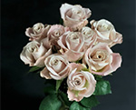 pink roses bocquet